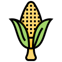 Maize - Corn Drinks